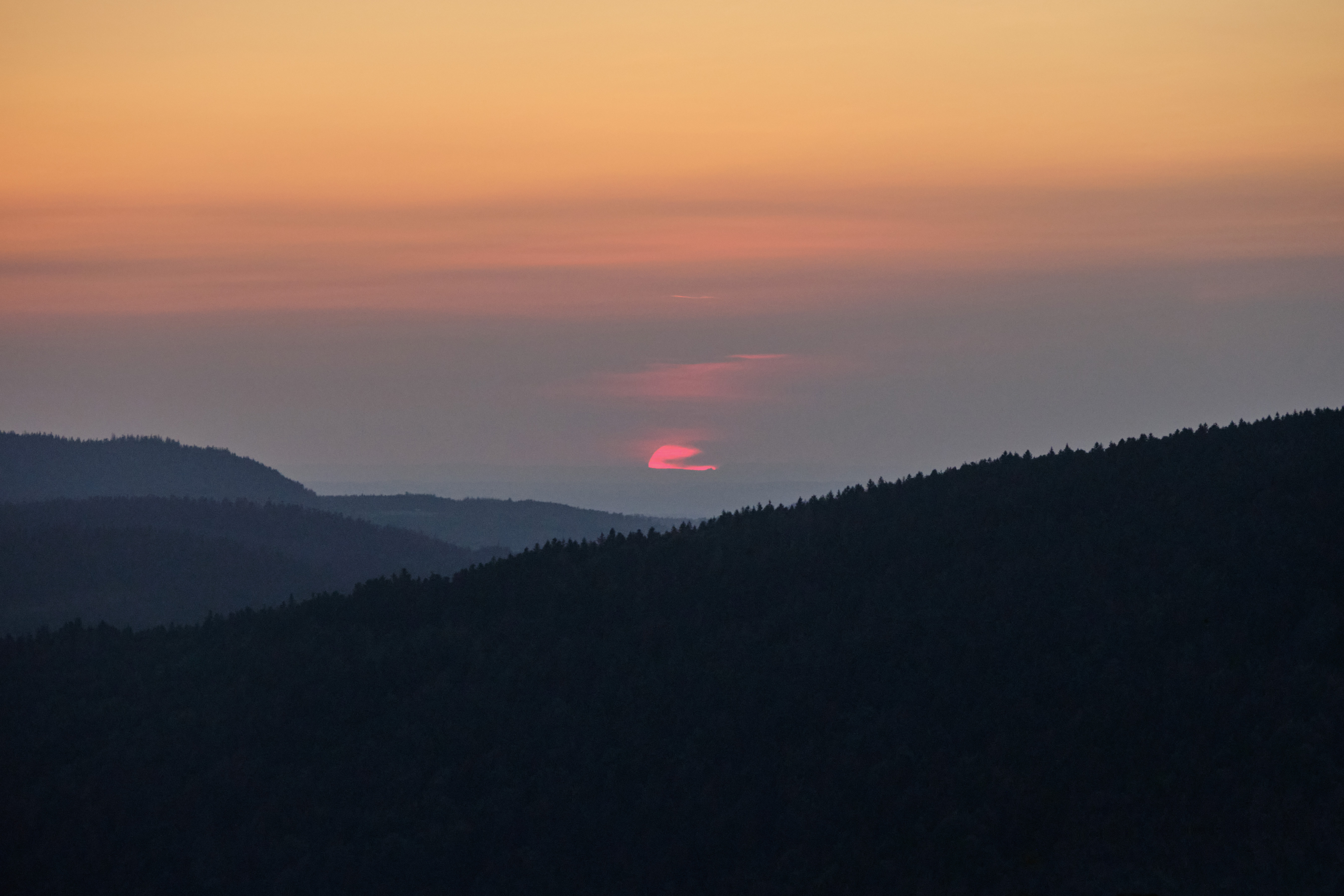 bandeau d'introduction