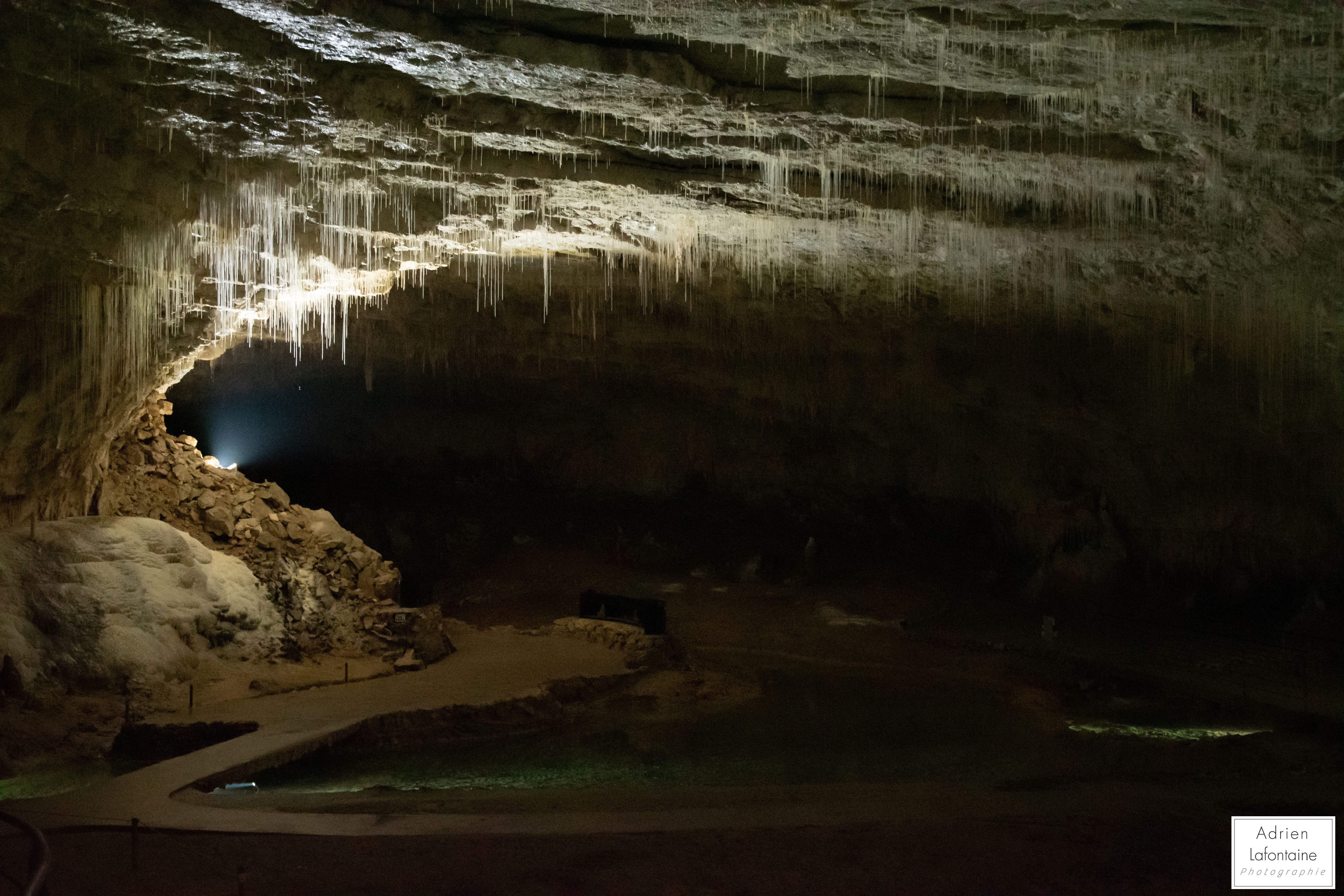 photographie du monde souterrain